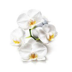 Obraz na płótnie Canvas White orchid and spa stones
