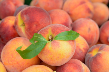 Fototapeta na wymiar organic peach