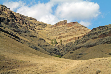 Fototapeta na wymiar Canyon in Northeast Oregon Under a Blue Sky with White Clouds