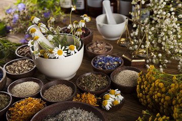 Alternative medicine, dried herbs and mortar on wooden desk back