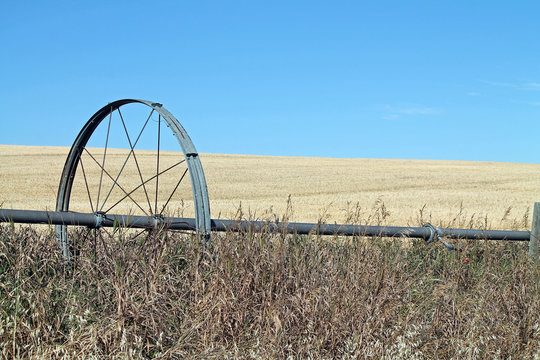 Irrigation Pipe With Farm Fields and Blue Sky in the background