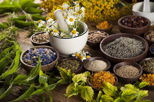 Alternative medicine, dried herbs and mortar on wooden desk back