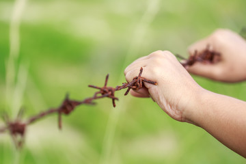 Hands hanging on old metal rusty barbed wire.