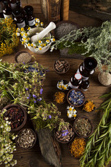 Obraz na płótnie Canvas Assorted natural medical herbs and mortar on wooden table backgr