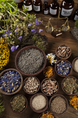 Healing herbs on wooden table, mortar and herbal medicine