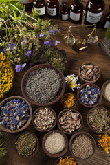 Fototapeta premium Healing herbs on wooden table, mortar and herbal medicine
