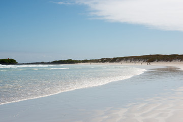 ガラパゴスのビーチ