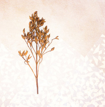 Herbarium - Herbstblatt in künstlerischer Gestaltung - Grußkarte