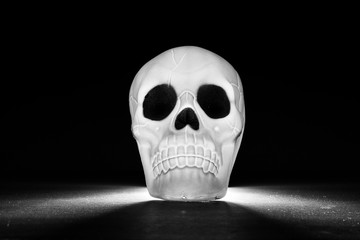 The Illuminated Skull