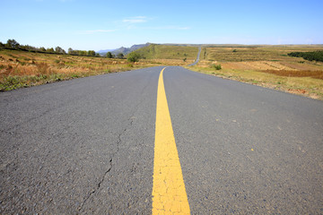 asphalt road on grassland