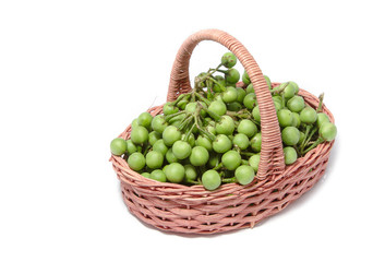 turkey berry in the basket isolated on white background