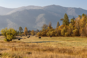 mountain autumn trees hay