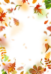 Fototapeta na wymiar Vector autumn leaves blurred background.