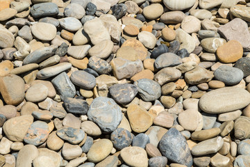 Beach Rocks and Pebbles