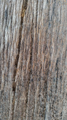 Obraz premium old weathered wood planks texture