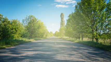 Asphalt road in the deciduous forest.