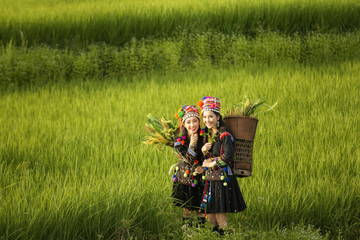 Tribal Girls happy smiling in rice fields.