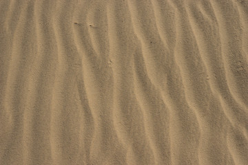 Fototapeta na wymiar Patterns of Sand Texture