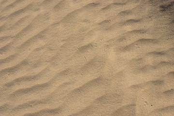 Small Lines of Desert Sand