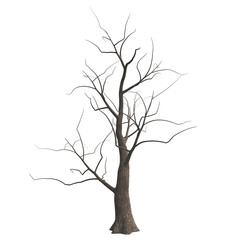 Fototapeta premium Dead Halloween tree isolated on white background. 3D illustration.