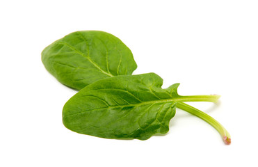 Spinach on a white background