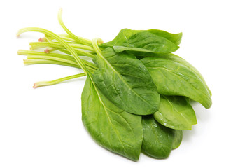 Spinach on a white background