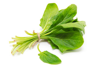 Spinach on a white background