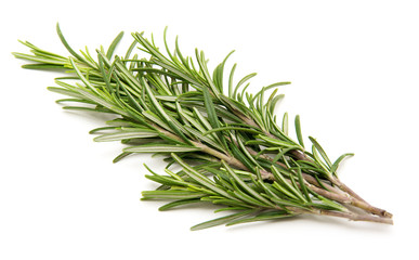 Rosemary bound on a white background