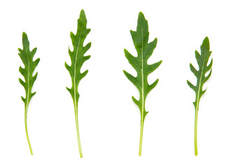 Naklejka premium Świeże liście rukoli. Na białym tle