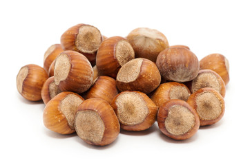 Hazelnuts on white background