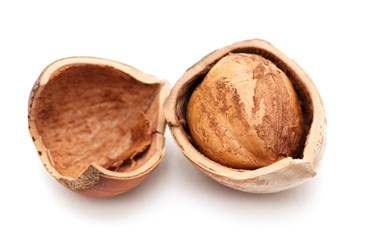 Hazelnuts on white background