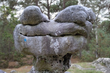 Le sphinx des druides rocher de Fontainebleau