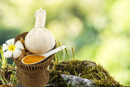 Spa herbal compressing ball , white frangipani flowers (Plumeria spp , Apocynaceae, Pagoda tree, Temple tree) , turmeric powder in white spoon in bamboo basket on moss waterfall on the mountain.
