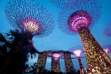 Сингапур. Футуристические сады.