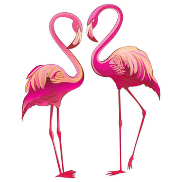 Two colorful flamingos looking at each other and building a heart-shape