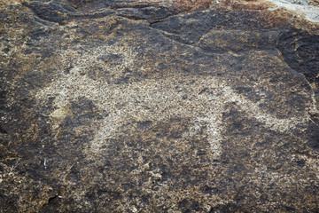 Ancient petroglyph located in Cholpon Ata, Issyk-Kul, Kyrgyzstan