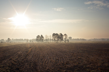 Wschód słońca nad polami © Mariusz Stoszewski
