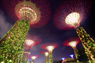 Сингапур. Футуристические сады.