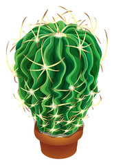 Realistic cactus vector illustration