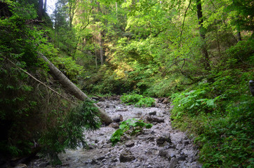 kanion  © wedrownik52