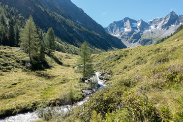 Fototapeta na wymiar Fluss durch die Alpen