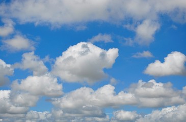 Fototapeta premium white cloud and clear sky 