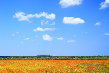 Fototapeta na wymiar Landscape in fall with clouds on blue sky