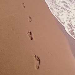 take only memories , leave only footprints