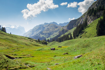 Fototapeta na wymiar Hiking Day from Engelberg to Melchseefrutt, Switzerland