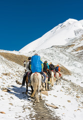 Group of people riding ponies across mountain pass.
