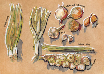 different food components, original drawing on craft paper