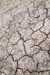 Cracked fertile soil in the early spring garden