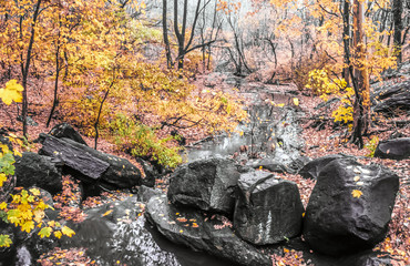 Autumn leaves and waterfall
