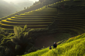 Peasant mother and daughter walking on the rice terraces Vietnam